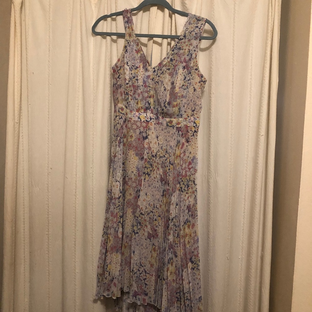 Evanthe Pleated Dress